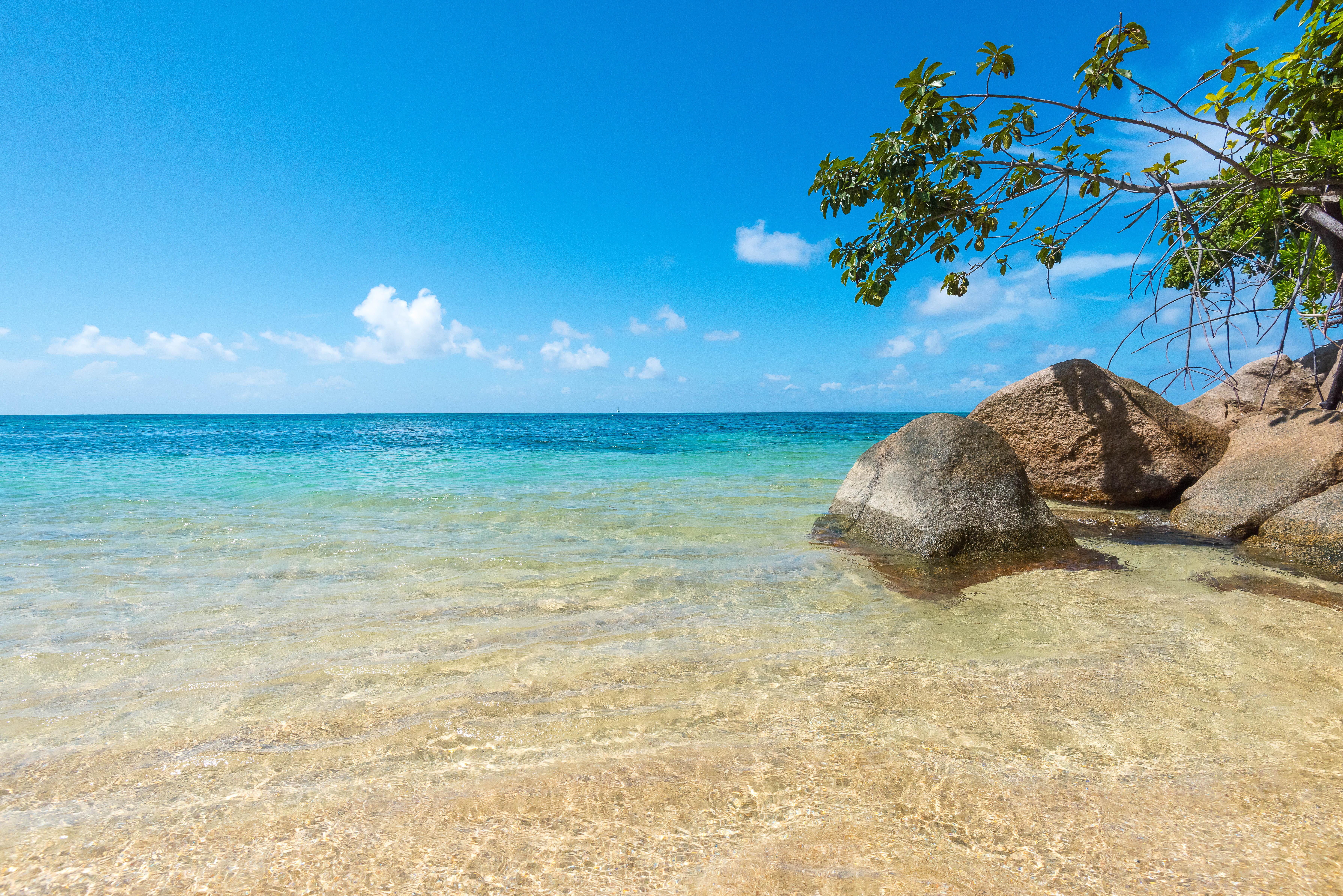 Coco De Mer Hotel And Black Parrot Suites Grand Anse  Esterno foto